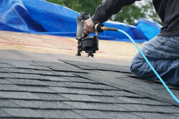 Best Roof Maintenance Services  in St Stephens, NC